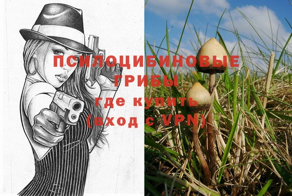 МДМА Абаза