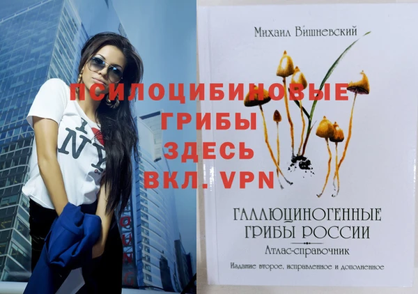 а пвп мука Абдулино
