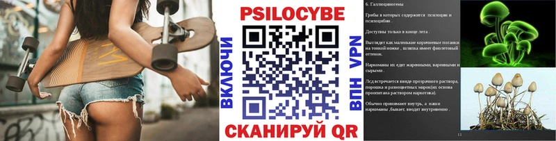 Псилоцибиновые грибы MAGIC MUSHROOMS  магазин продажи наркотиков  Никольское 